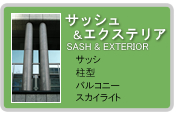 �X�J�C���C�g